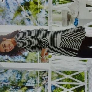 Soft Surroundings Calista Stripe Zip Front Tunic